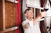 Man in Winery Examining a Glass of Wine