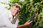 Wine Maker Examining Grapes