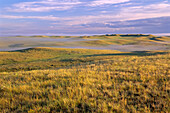 Morgennebel,Ostblock,Grasland-Nationalpark,Saskatchewan,Kanada