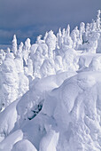 Schneegespenster,Sun Peaks,British Columbia,Kanada