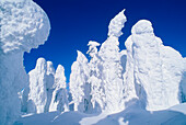 Snow Ghosts,Sun Peaks,British Columbia,Canada