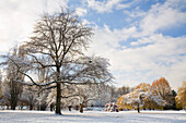 Snowy landscape in Jericho Beach Park,Vancouver,Canada,Vancouver,British Columbia,Canada