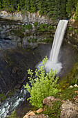 Brandywine Falls,Brandywine Falls Provincial Park,Coast Mountains,near Whistler,British Columbia,Canada