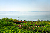 Sea of Galilee,Lake Tiberias,Israel