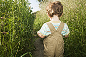 Rücken eines Babyjungen auf dem Weg