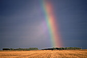 Regenbogen über Field Saskatchewan, Kanada