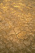 Nahaufnahme von zerklüfteter Erde in der Wüste, Nevada, USA