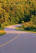 Straße und Bäume, Gatineau Parkway, Gatineau Park, Québec, Kanada