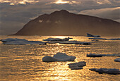 Icebergs in Jones Sound Near Grise Fiord,Nunavut,Canada