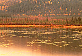 See und Bäume im Herbst Yukon Territory,Kanada