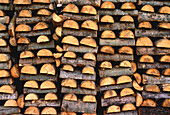 Cut and Stacked Firewood