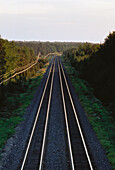 Railroad Tracks and Trees