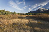 Mountains,Field and Forest,Bow Valley,Banff National Park,Canada