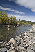 Man Flyfishing in River,Kananaskis Country,Rocky Mountains,Alberta,Canada