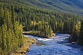 Stromschnellen am Fluss,Sheep River Provincial Park,Kananaskis Country,Alberta,Kanada
