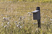 Vogelhäuschen am Zaunpfahl,Kananaskis Country,Alberta,Kanada