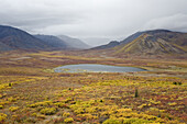 Lake in Tundra Valley,Tombstone Territorial Park,Yukon,Canada