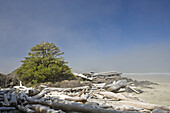 Driftwood on Beach,Long Beach,Pacific Rim National Park,Vancouver Island,British Columbia,Canada