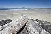 Treibholz am Strand,Long Beach,Pacific Rim National Park,Vancouver Island,British Columbia,Kanada
