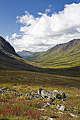 Tombstone River Valley, Tombstone-Territorialpark, Yukon, Kanada