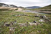 Archäologische Inuit-Stätte am Soper- und Livingstone-Fluss, Katannilik-Territorialpark-Reservat, Baffininsel, Nunavut, Kanada