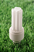 Energy Efficient Lightbulb on Grass