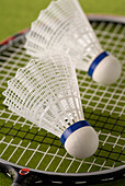 Zwei Badminton-Birdies auf Schläger