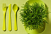 Cutlery and Plant on Plate