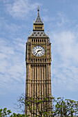 Big Ben,Westminster Palace,Westminster,London,England