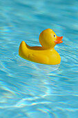 Gummi-Ente im Wasser