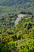 Aerial View of Road,Corsica,France