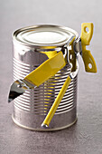 Can and Can Opener