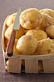 Basket of Potatoes with Knife