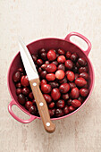 Overhead View of Pot of Fresh Cranberries with Knife on Beige Background