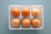 Overhead View of Six Brown Eggs in Plastic Egg Carton on Blue Background