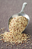Nahaufnahme einer Schaufel, die mit Quinoa überquillt