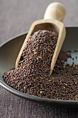 Close-up of Bowl of Mustard Seeds with Scoop,Studio Shot