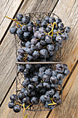 Grapes in wire basket on wooden background,studio shot