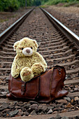 Teddy Bear and Suitcase on Train Tracks