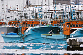 Fischerboote, Rausu, Hokkaido, Japan
