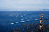 Fischereiflotte, Rausu, Shiretoko-Halbinsel, Hokkaido, Japan