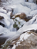 Stream in Winter