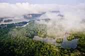 Rainforest along the Panama Canal Panama