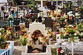 Für den Tag der Toten geschmückter Friedhof, San Miguel de Allende, Mexiko