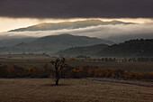 Übersicht über die Felder und Hügel, Santa Ynez Valley, Südkalifornien, USA