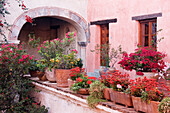 Grounds of Camino Real Hotel,Oaxaca,Mexico