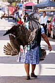 Frau trägt Truthahn zum Markt, Ocotlan Markt, Oaxaca, Mexiko