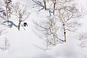 Telemark Skiing,Furano,Hokkaido,Japan