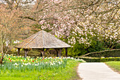 Spring in Hever Castle gardens,Kent,England,United Kingdom,Europe