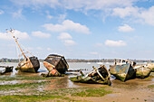 Boat graveyard in Pin Mill,Ipswich,Suffolk,England,United Kingdom,Europe
